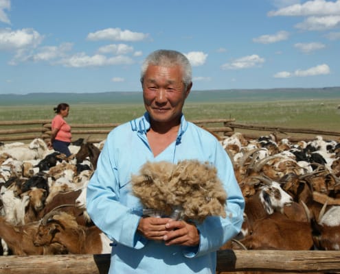 Mongolian Cashmere Grower