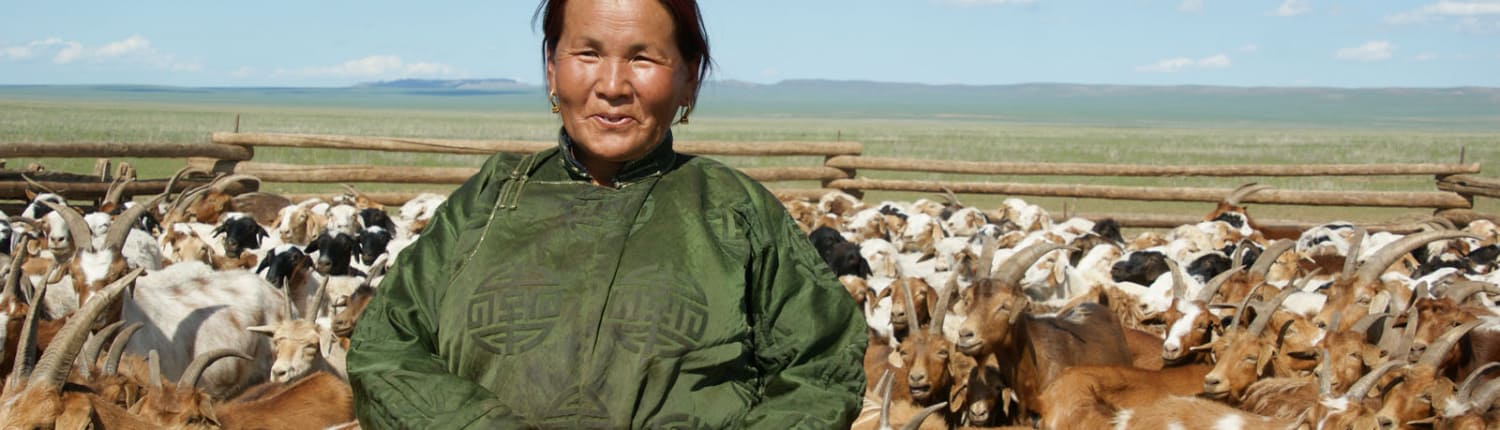 Cashmere Authentico Mongolian Cashmere Grower