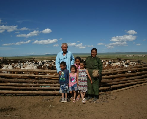 Mongolian Cashmere Growers